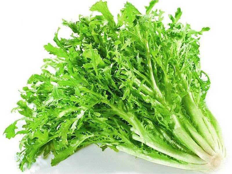食材配送從生產(chǎn)、采摘再到蔬菜配送無縫銜接